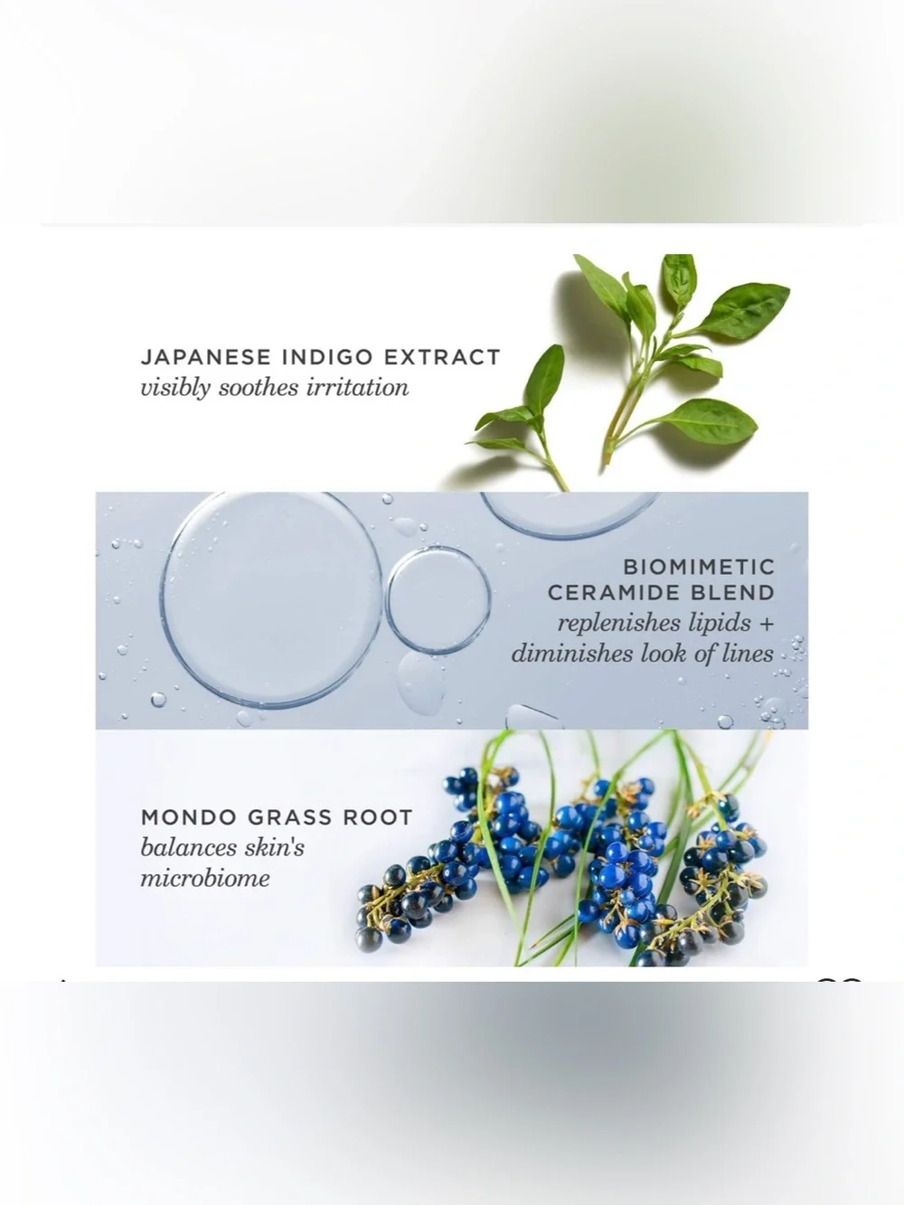 Tatcha Indigo Overnight Repair Cream - Blue - Picture 11 of 15